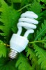 New lightbulb recycling scheme launched in Lewisham