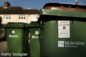 Redbridge residents urged to book green garden waste collections